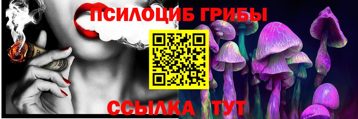 Галлюциногенные грибы Psilocybine cubensis  Вход с VPN  Майский  Галлюциногенные грибы Psilocybe 