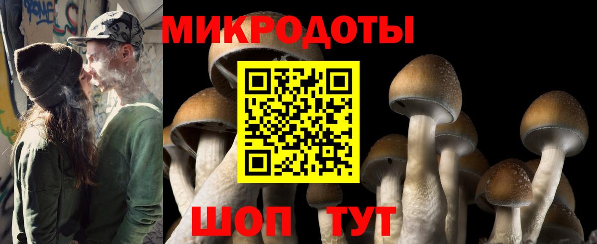 Псилоцибиновые грибы ЛСД Майский